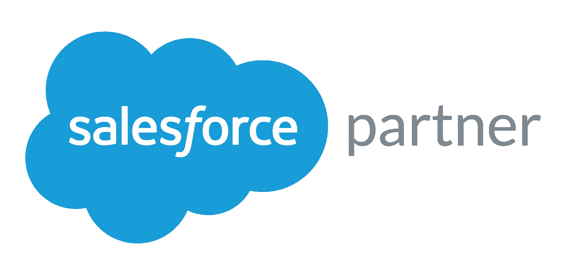 Salesforce partner